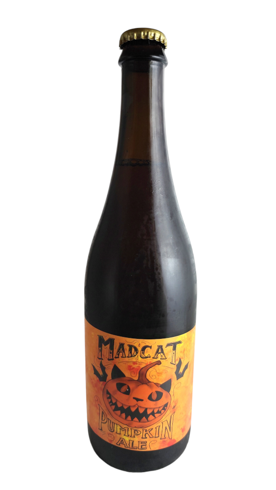 MadCat Pumpkin ALE 12° - Pivní ochutnávka